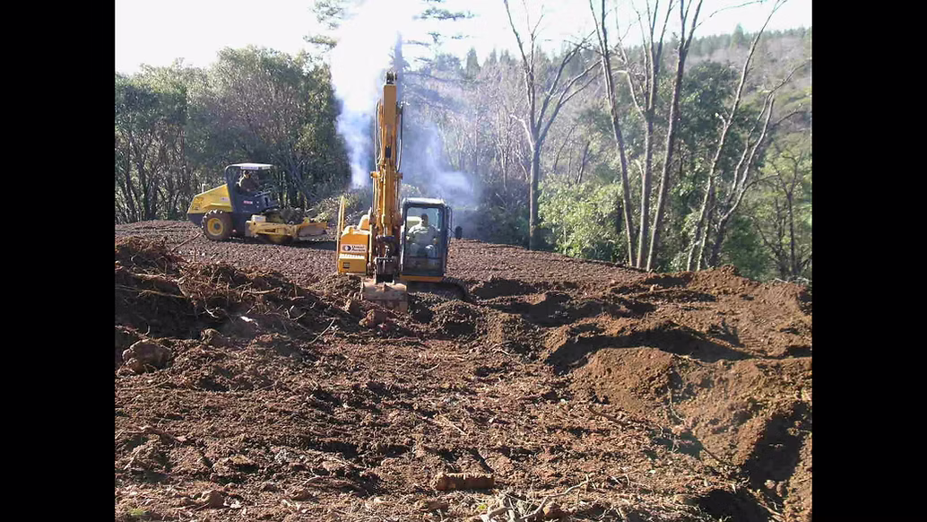 Forest clearing