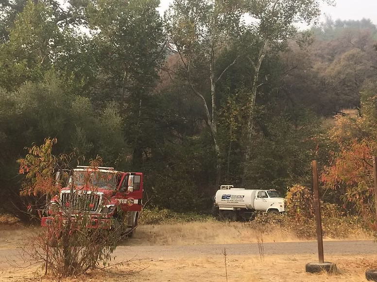 Site clearing